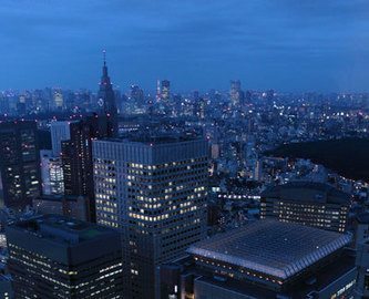 While it was the more traditional side of Japan that I wanted to see I did enjoy the modern aspects of Tokyo. Tokyo at night from the top of the Metropolitan Goverment Offices is a beautiful sight